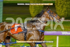 2026_PACEPIX_GP22092026_RACE6_GraceElla_WIN_WEB-2
