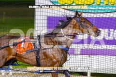 2026_PACEPIX_GP22092026_RACE6_GraceElla_WIN_WEB-4