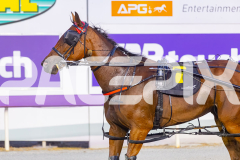 2026_PACEPIX_GP03032026_Race6_GrinDestiny_WEB-16