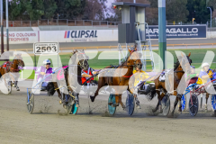 2026_PACEPIX_GP03032026_Race6_GrinDestiny_WEB-5