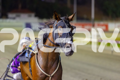 2026_Pacepix_GP30012026_RACE6_Grumpee_WIN_WEB-33