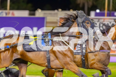 2026_Pacepix_GP30012026_RACE6_Grumpee_WIN_WEB-5