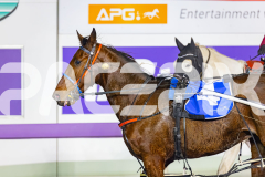 2026_PACEPIX_GP05062026_RACE6_GullyGum_WIN_WEB-21