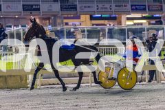 2026_PACEPIX_GP05062026_RACE6_GullyGum_WIN_WEB-24