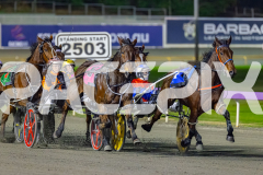 2026_PACEPIX_GP05062026_RACE6_GullyGum_WIN_WEB-6