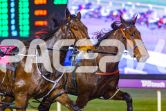 2026_PACEPIX_GP05062026_RACE6_GullyGum_WIN_WEB-7