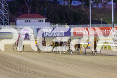 2025_PACEPIX_GP18112025_RACE6_Heartofahlia_WIN_WEB-1