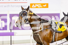 2025_PACEPIX_GP18112025_RACE6_Heartofahlia_WIN_WEB-12