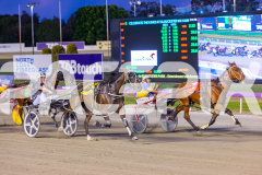 2025_PACEPIX_GP18112025_RACE6_Heartofahlia_WIN_WEB-4