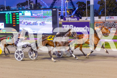 2025_PACEPIX_GP18112025_RACE6_Heartofahlia_WIN_WEB-5