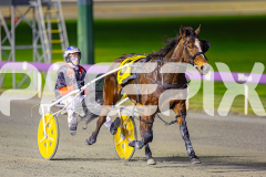 2025_PACEPIX_GP04072025_Race6_HeavenlyGipsy_WIN_WEB-12