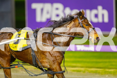 2025_PACEPIX_GP04072025_Race6_HeavenlyGipsy_WIN_WEB-13
