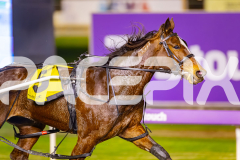 2025_PACEPIX_GP04072025_Race6_HeavenlyGipsy_WIN_WEB-4
