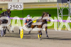 2025_PACEPIX_GP04072025_Race6_HeavenlyGipsy_WIN_WEB-6