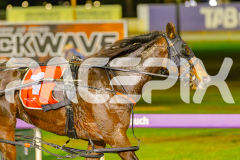 2025_PACEPIX_GP30052025_RACE6_HeavenlyGispy_WIN_WEB-16