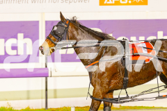 2025_PACEPIX_GP30052025_RACE6_HeavenlyGispy_WIN_WEB-19