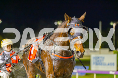 2025_PACEPIX_GP30052025_RACE6_HeavenlyGispy_WIN_WEB-22