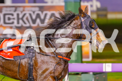 2025_PACEPIX_GP30052025_RACE6_HeavenlyGispy_WIN_WEB-3