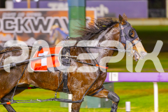 2025_PACEPIX_GP30052025_RACE6_HeavenlyGispy_WIN_WEB-8