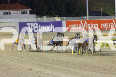 2025_PACEPIX_GP14112025_RACE6_HerPresence_WIN_WEB-1