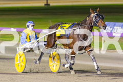 2025_PACEPIX_GP14112025_RACE6_HerPresence_WIN_WEB-10