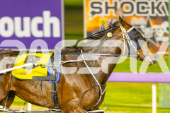 2025_PACEPIX_GP14112025_RACE6_HerPresence_WIN_WEB-11