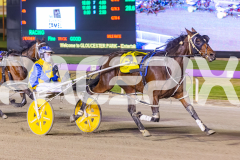 2025_PACEPIX_GP14112025_RACE6_HerPresence_WIN_WEB-6