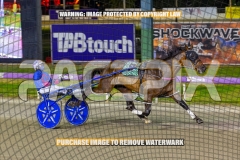 2026_PACEPIX_GP30102026_RACE6_HeresHerbie_WIN_WEB-11