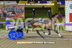 2026_PACEPIX_GP30102026_RACE6_HeresHerbie_WIN_WEB-12
