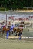 2026_PACEPIX_GP30102026_RACE6_HeresHerbie_WIN_WEB-16