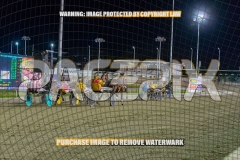 2026_PACEPIX_GP30102026_RACE6_HeresHerbie_WIN_WEB-18