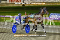 2026_PACEPIX_GP30102026_RACE6_HeresHerbie_WIN_WEB-19