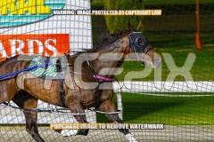2026_PACEPIX_GP30102026_RACE6_HeresHerbie_WIN_WEB-2