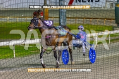 2026_PACEPIX_GP30102026_RACE6_HeresHerbie_WIN_WEB-21