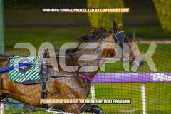 2026_PACEPIX_GP30102026_RACE6_HeresHerbie_WIN_WEB-5
