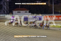 2026_PACEPIX_GP30102026_RACE6_HeresHerbie_WIN_WEB-6