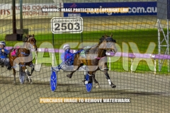 2026_PACEPIX_GP30102026_RACE6_HeresHerbie_WIN_WEB-7