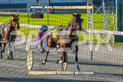 2026_PACEPIX_GP27072026_Race6_HesTheBoss_WIN_WEB-15