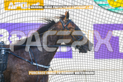 2026_PACEPIX_GP27072026_Race6_HesTheBoss_WIN_WEB-16