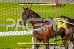 2026_PACEPIX_GP27072026_Race6_HesTheBoss_WIN_WEB-18