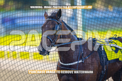 2026_PACEPIX_GP27072026_Race6_HesTheBoss_WIN_WEB-21