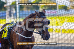 2026_PACEPIX_GP27072026_Race6_HesTheBoss_WIN_WEB-22
