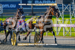 2026_PACEPIX_GP27072026_Race6_HesTheBoss_WIN_WEB-5