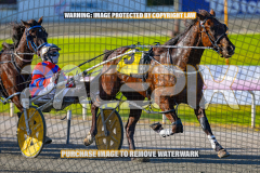 2026_PACEPIX_GP27072026_Race6_HesTheBoss_WIN_WEB-6