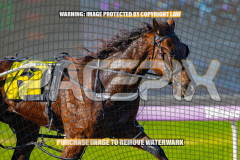 2026_PACEPIX_GP27072026_Race6_HesTheBoss_WIN_WEB-7