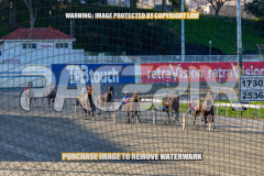 2026_PACEPIX_GP27072026_Race6_HesTheBoss_WIN_WEB-8