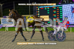 RACE 6 - Hez The Boss