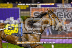 2026_PACEPIX_GP25082026_RACE6_HezTheBoss_WIN_WEB-12