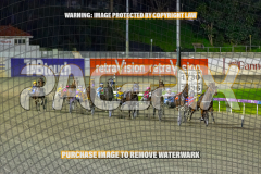 2026_PACEPIX_GP25082026_RACE6_HezTheBoss_WIN_WEB-13