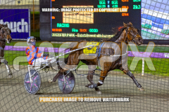 2026_PACEPIX_GP25082026_RACE6_HezTheBoss_WIN_WEB-15